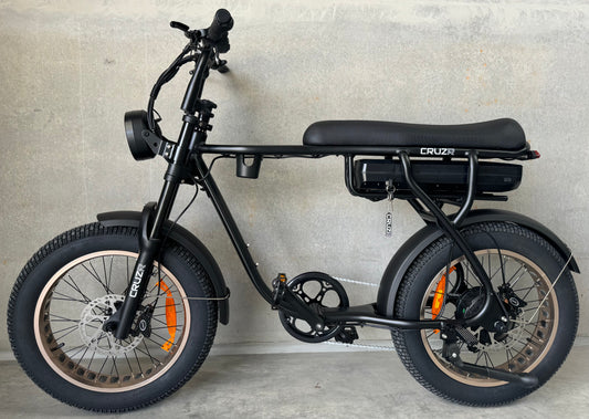 TRAVELLER GEN 1 Electric Bike